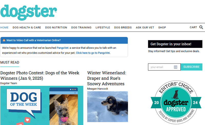 Dogster Pet Blog Example