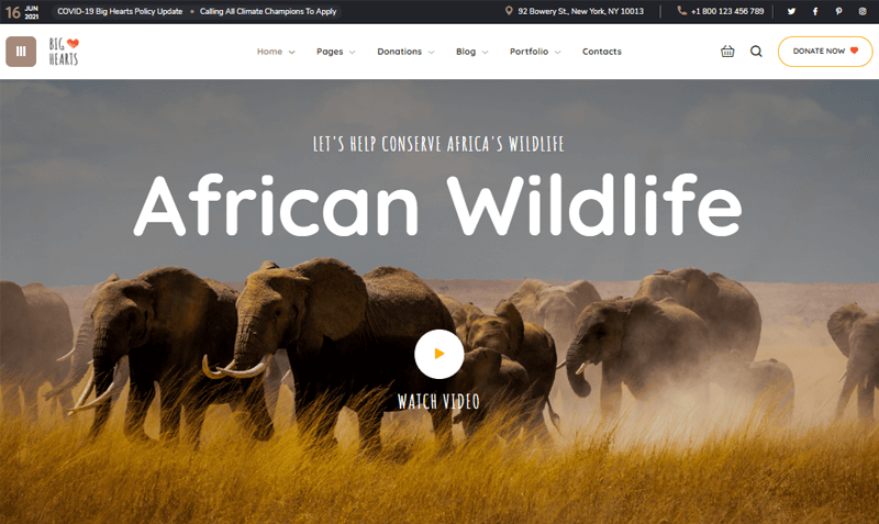 BigHearts-WildlifeFund-Foundation WordPress Theme