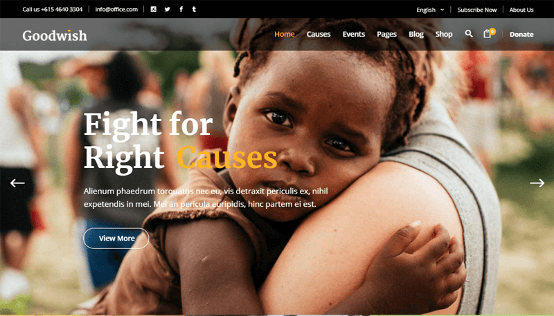 Goodwish Theme for Non-profit Website