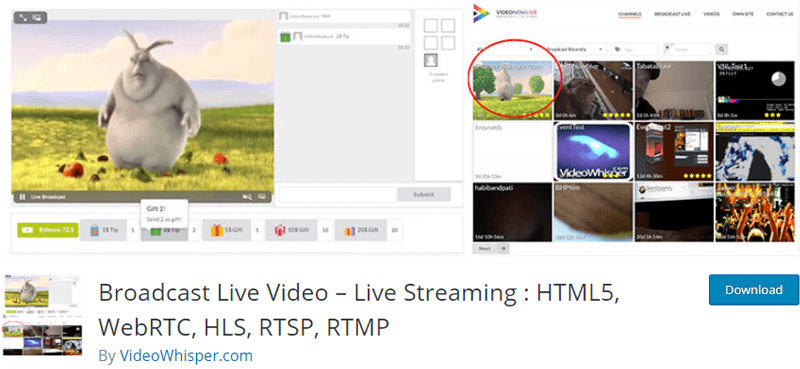 Broadcast Live Video- live stream player