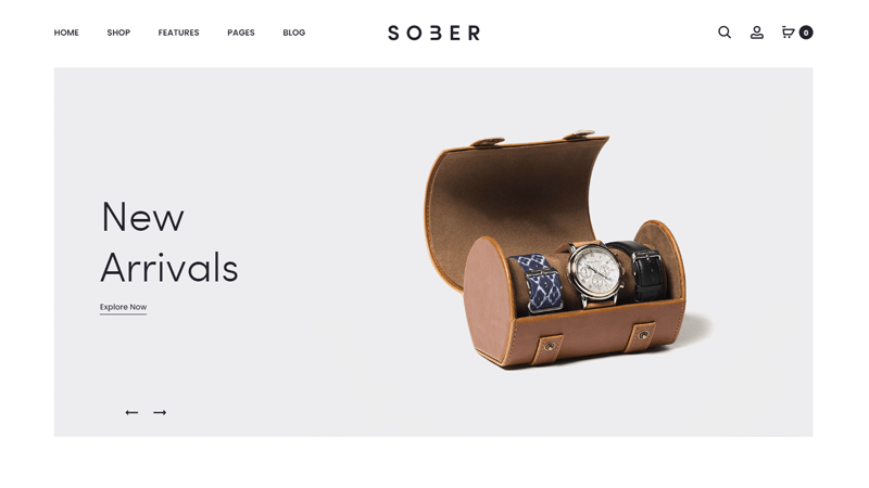 Sober WooCommerce Theme With Elementor