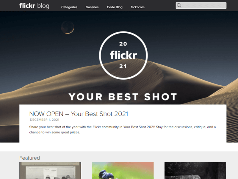 Flickr Blog WordPress Website Example