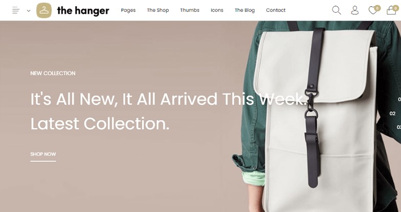 The Hanger eCommerce WordPress Theme