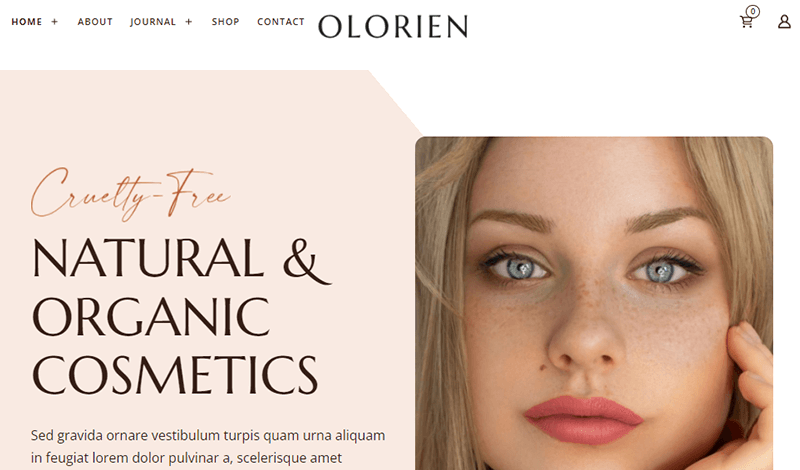 Olorien WooCommerce Theme For Chothing Store Website