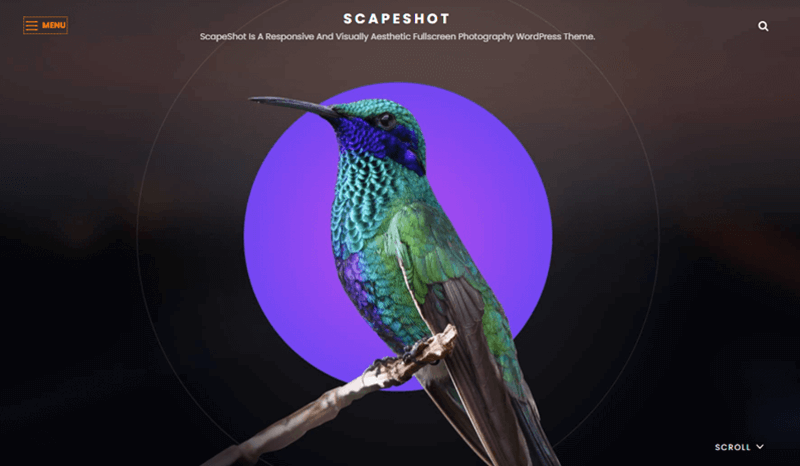 Scapeshot Dark Theme for Photography Website