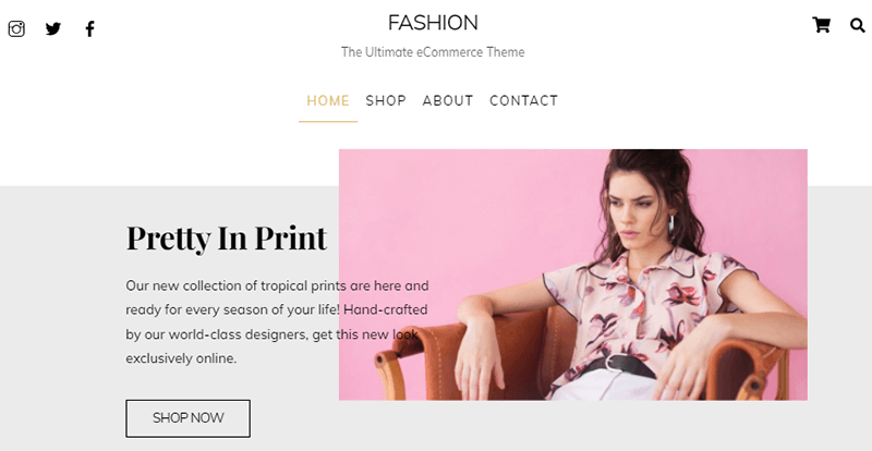 Ultra Fashion Theme For Clothing Store WordPress