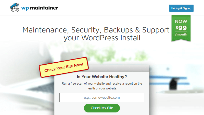 WP Maintainer for WordPress Website 