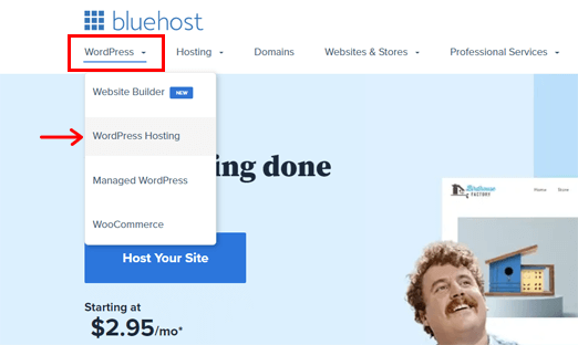 Bluehost WordPress Hosting Service to Create a Website