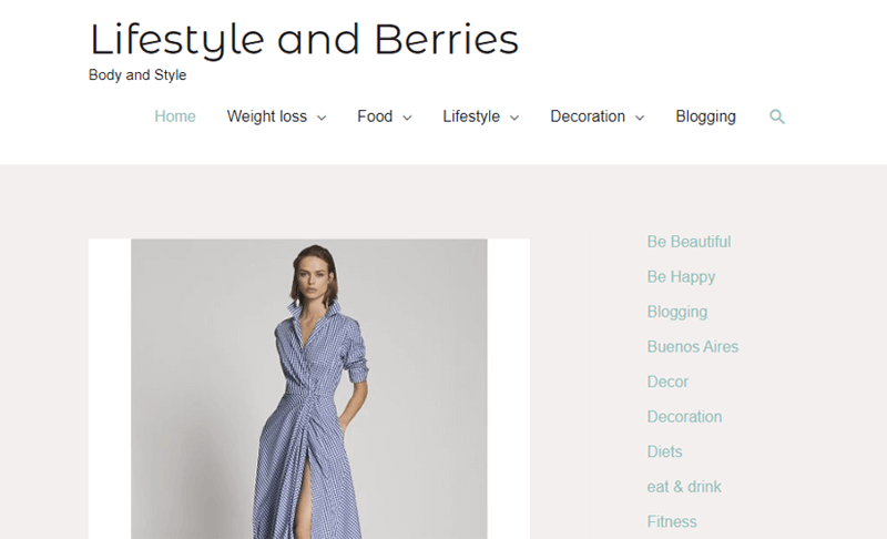 Lifestyle and Berries Blog Examples