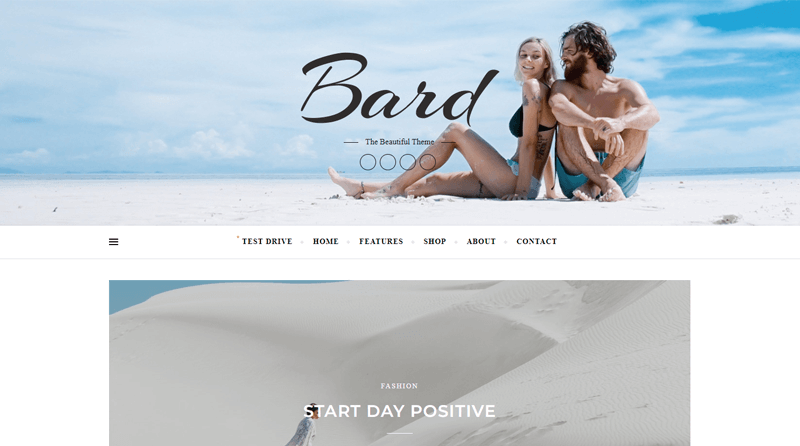 Bard Free WordPress Minimalist Themes