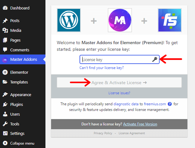 Enter the License Key to Activate Master Addons