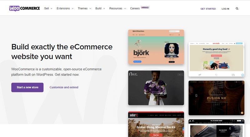 WooCommerce for eCommerce Website BigCommerce Alternatives
