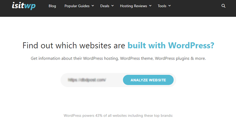 Enter Website URL on IsItWP WordPress Theme Detector