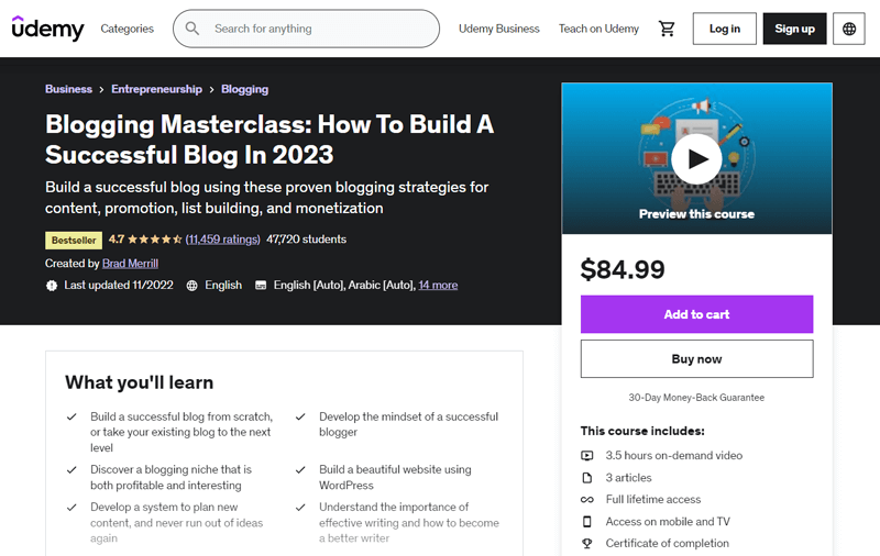 Blogging Masterclass: How To Build A Successful Blog In 2023