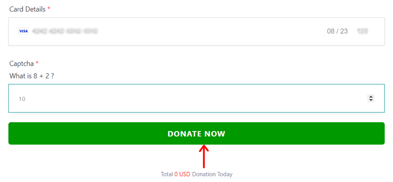 Click the Donate Now Button