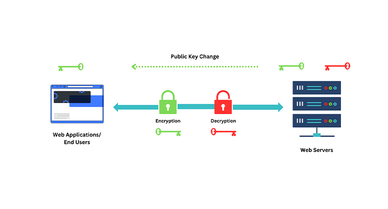How Does an SSL Works?
