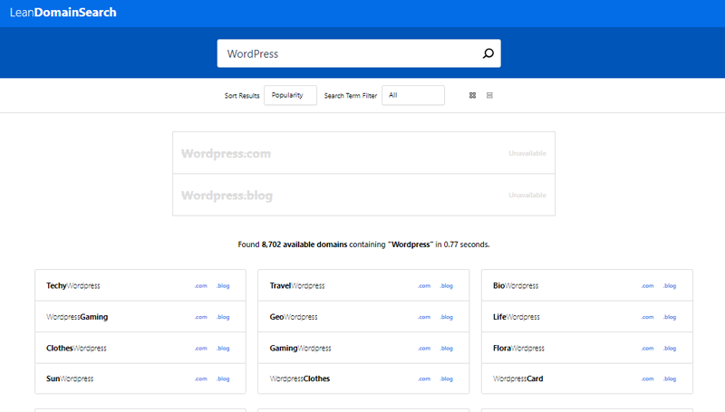 Searching Domain Name On LeanDomainSearch