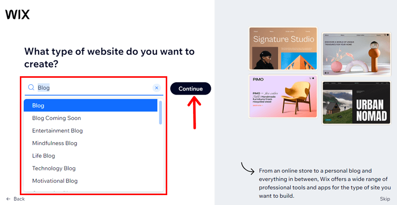 Choose Type Of Website