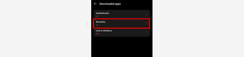 Enable BlockSite App