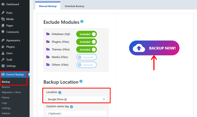 Everest Backup Now - Manual Process