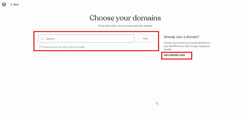 Type in Your Desired Domain or Click on Use a Domain I own 