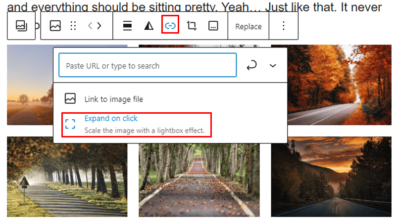 Expand On Click Feature for Image Gallery