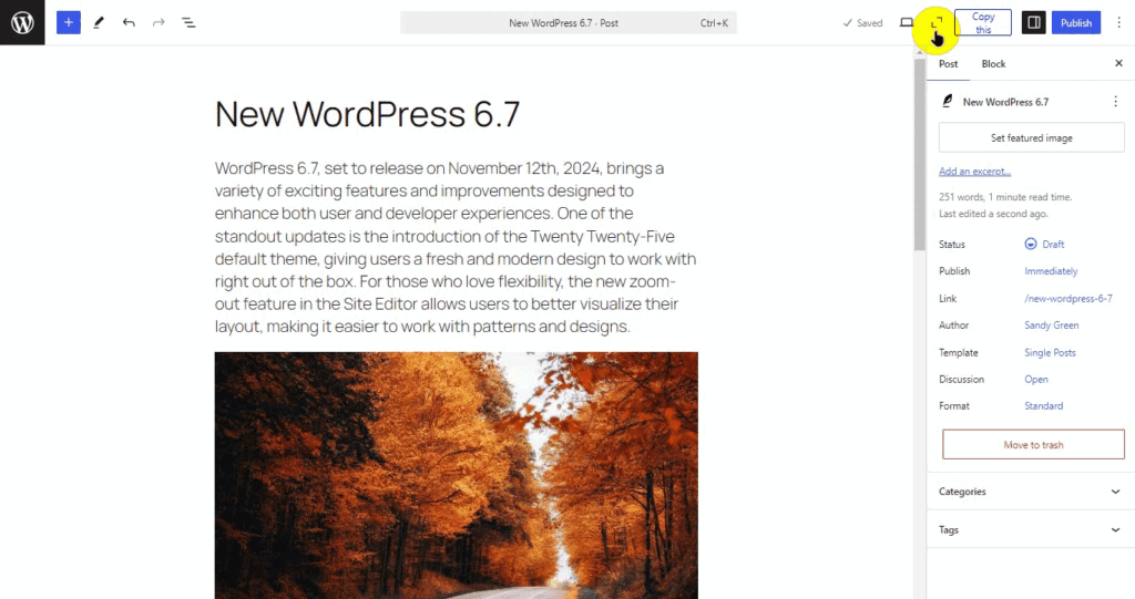 Zoom Out Features on Editor WordPress 6.7