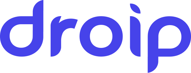 Droip Logo for BFCM