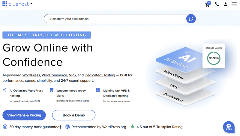 Bluehost Hosting Service