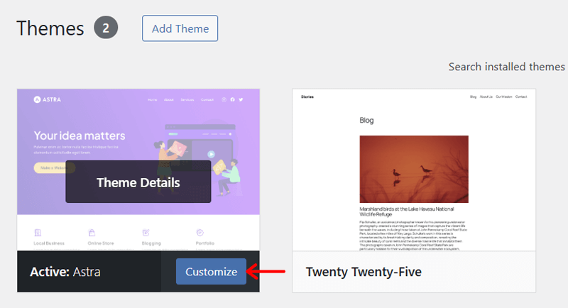 Click Customize After Theme Install