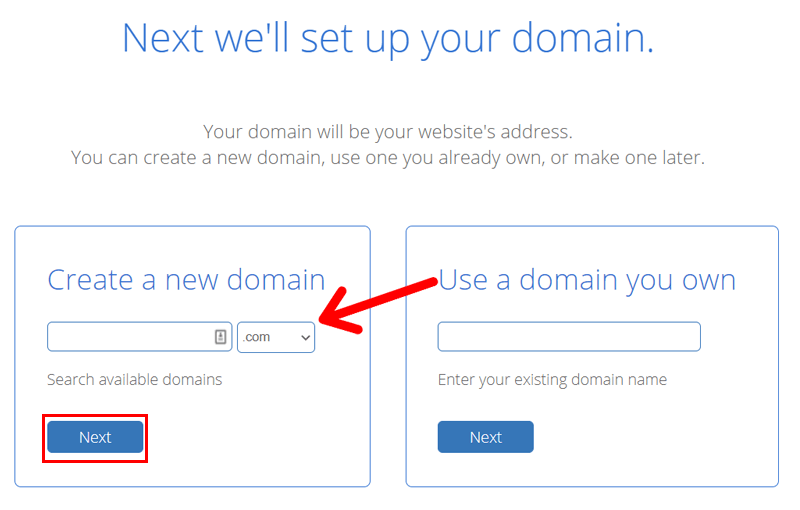 Find Domain Name in Bluehost