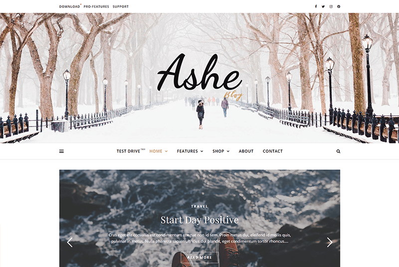 Ashe Blog Theme