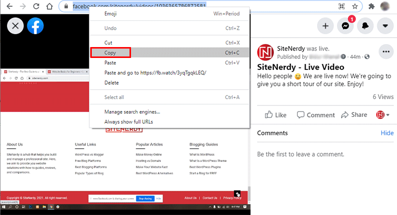 Copy Video URL from Browser's URL Bar