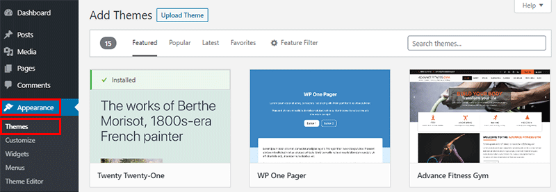 Installing WordPress Theme