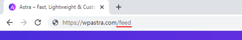 Adding feed to check WordPress version