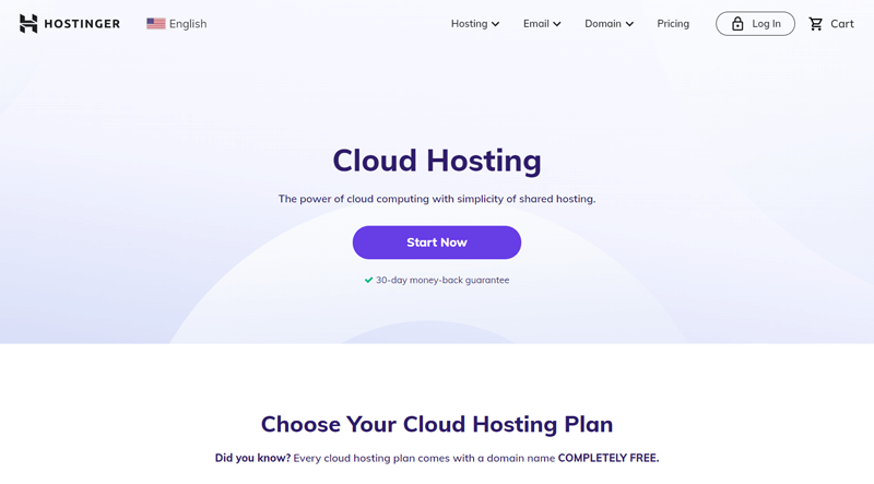 Hostinger Hosting Services