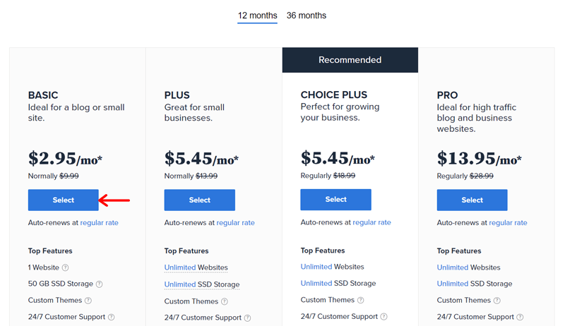 Bluehost Pricing Plans to Create and Host Website