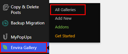 Navigate to Envira Gallery>All Galleries