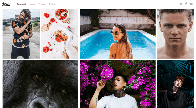 Salient - Wedding Photographer WordPress Themes