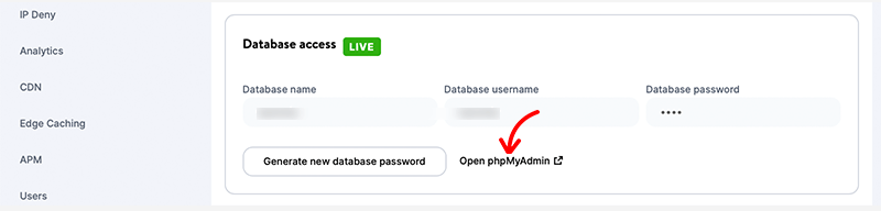 MyKinsta Database Access