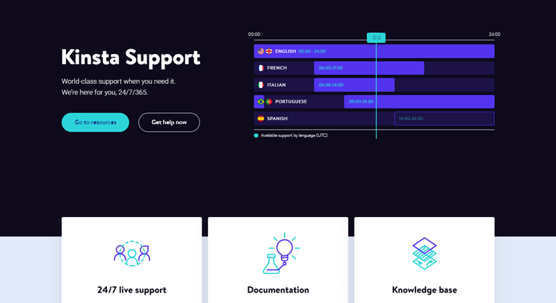 Kinsta Support Page 