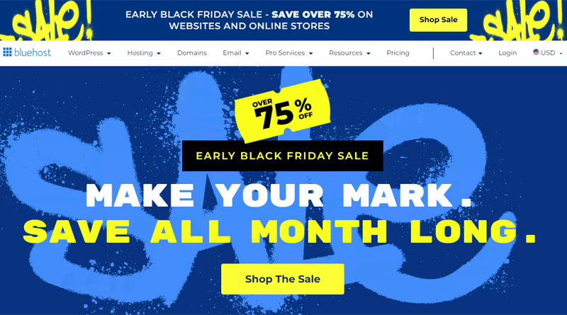 Bluehost Black Friday Deals on Domains