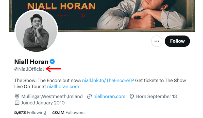 Niall Horan Official Twitter Account Example 