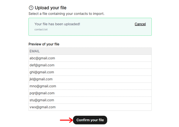 Confirm Your File