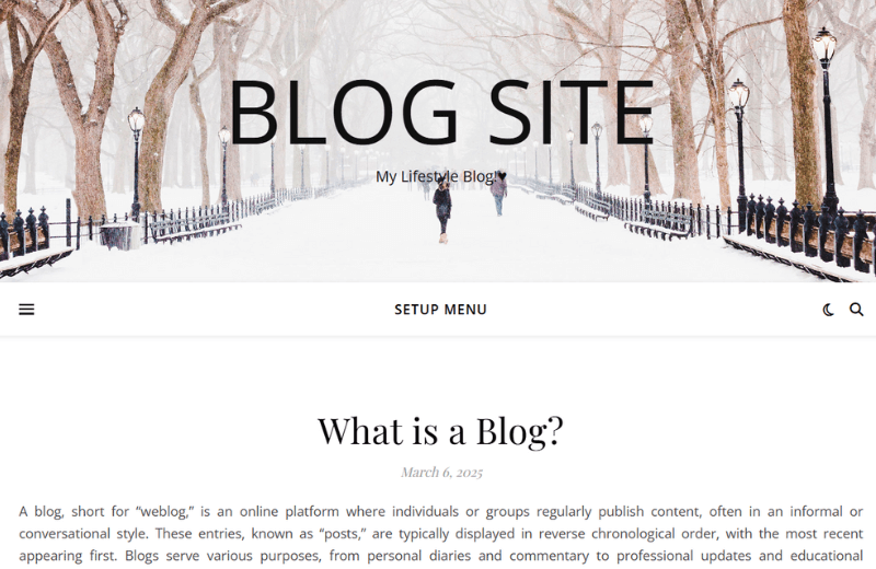 Blog Website Example