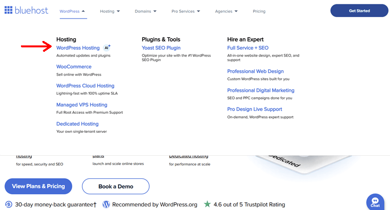 Open WordPress Bluehost Hosting