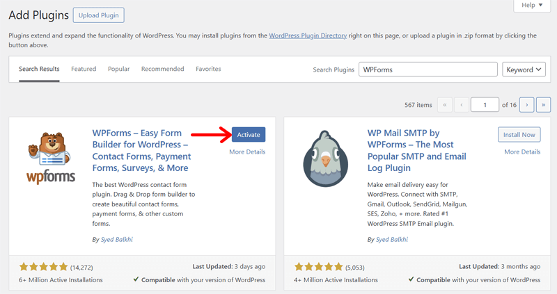 Activate the WordPress Plugin