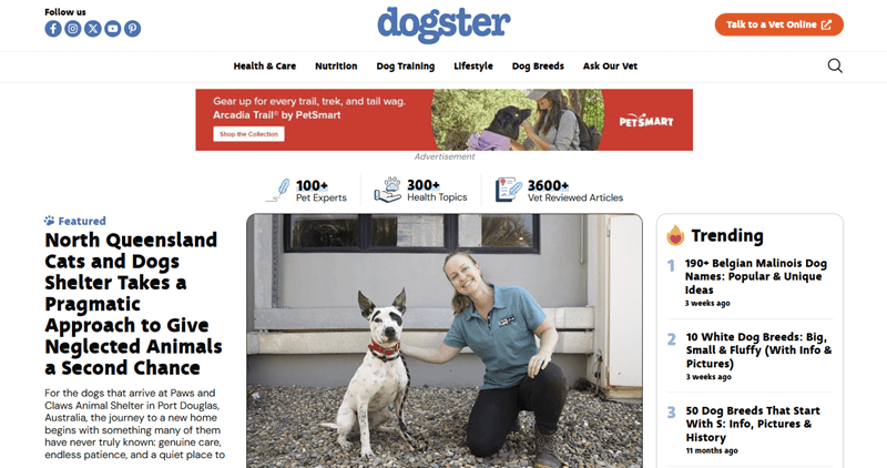 Dogster Pet Blog Example