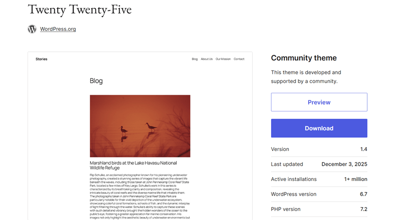 WordPress Theme Update Details