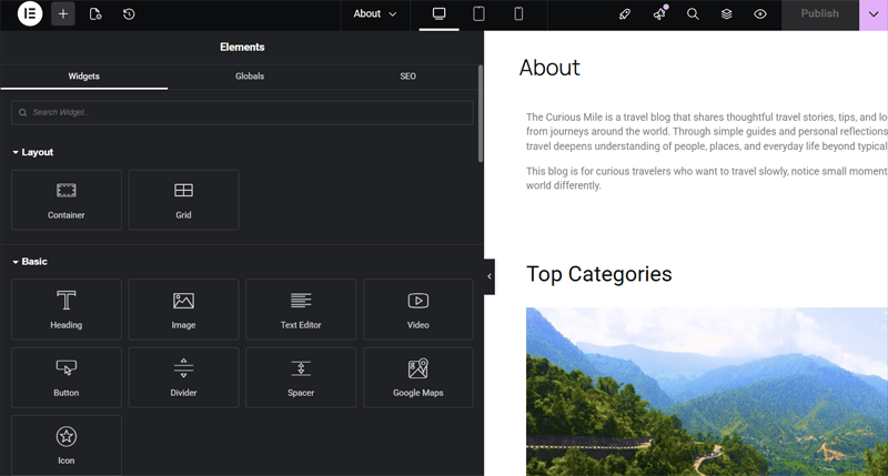 Elementor Low-Code Development